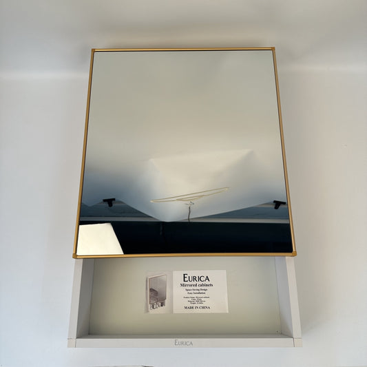 EURICA Mirrored Cabinets: Elegant Wall-Mounted Storage with Integrated Mirror Functionality