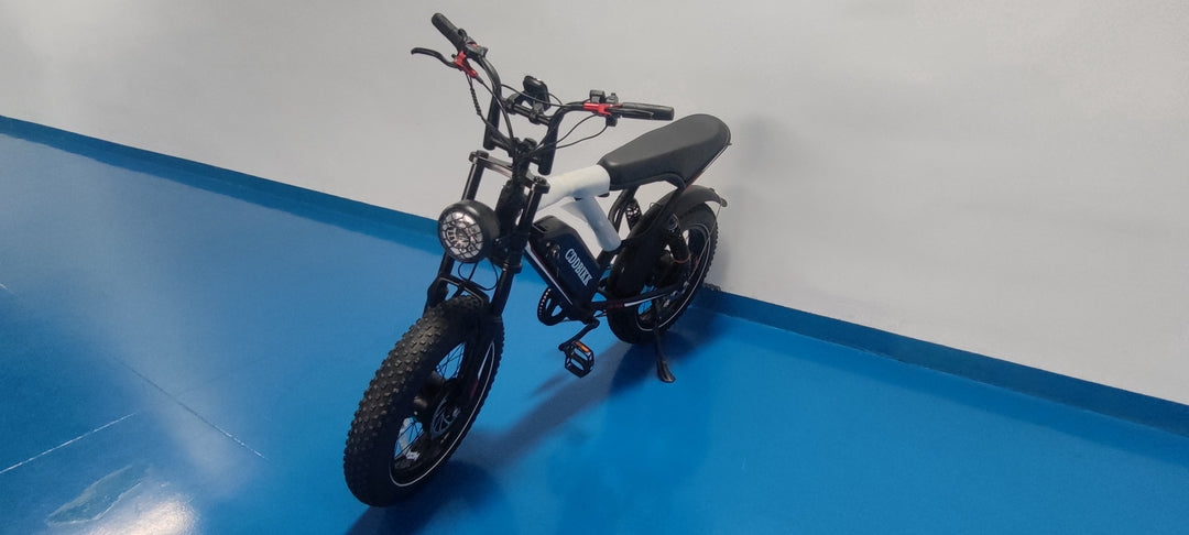 CDDBIKK Electric Bike, Black