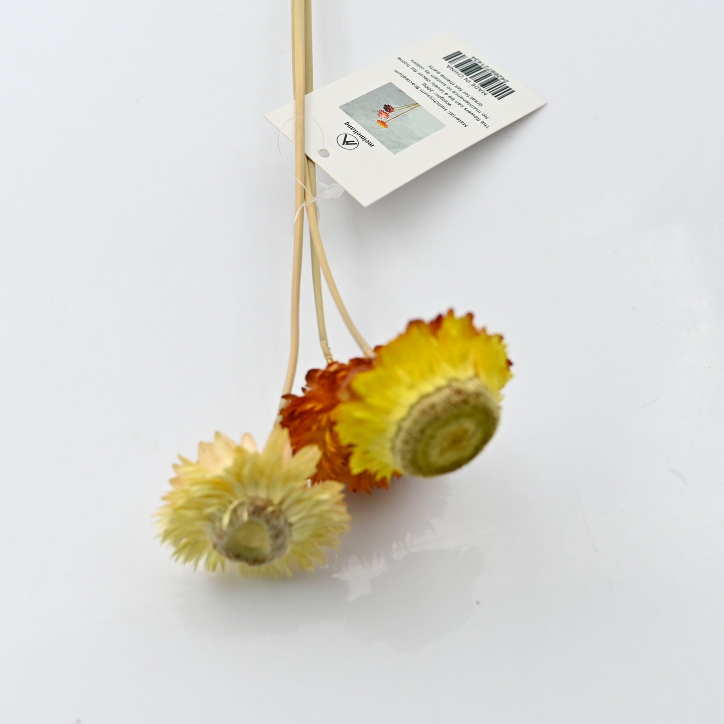 Meimeitang 1 Piece Dried Flower in Yellow