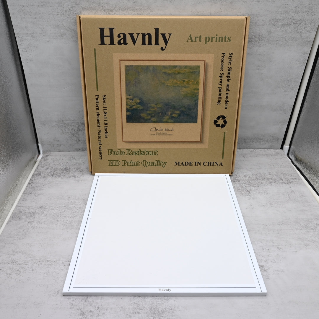 Havnly Decoration Art prints For Living Room Bedroom And Office Interior Design Home Decor