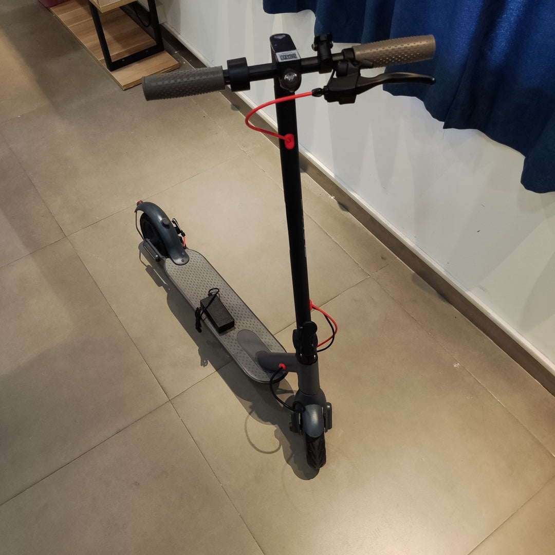 cityfreeboy Electrically-powered motor scooters