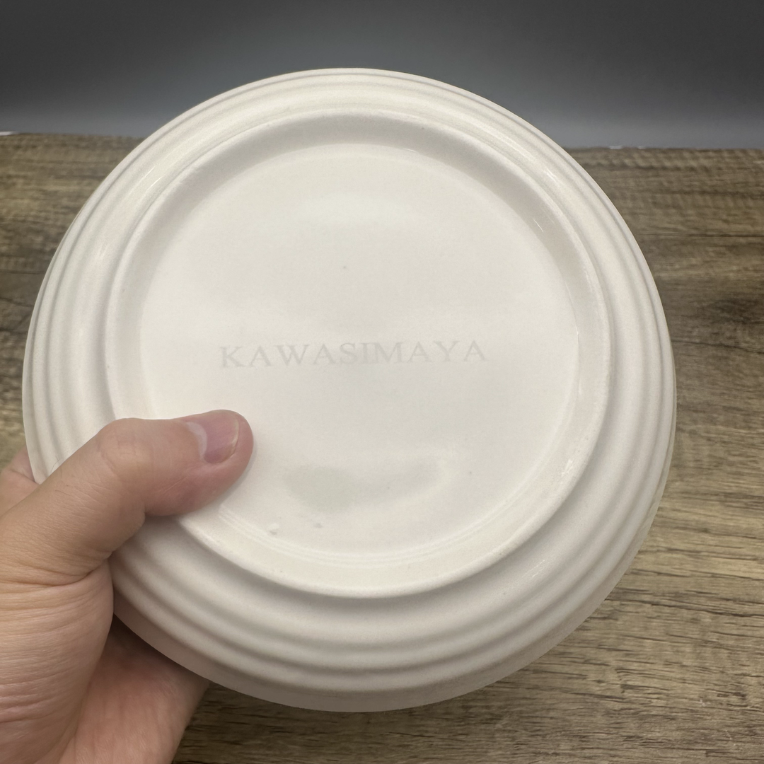 KAWASIMAYA Ceramic Dinner Plates, Set of 6 | Microwave & Dishwasher Safe Porcelain Dinnerware | 10-Inch White Serving Plates