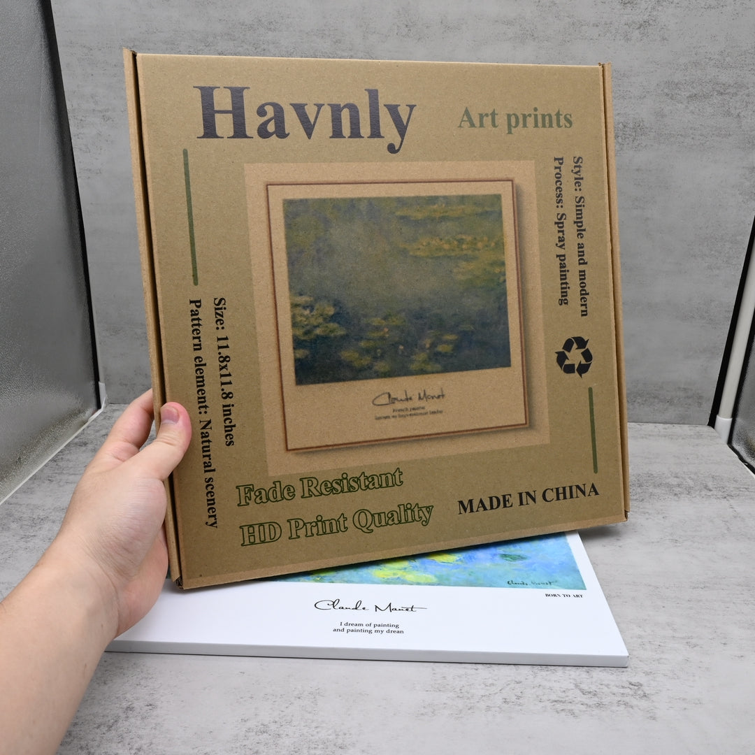 Havnly Decoration Art prints For Living Room Bedroom And Office Interior Design Home Decor