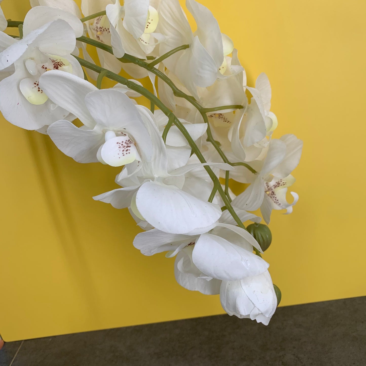 MEILIY 2 Artificial Orchids for Wedding Home Birthday Bouquets DIY Floral Decor Home Decoration with Long Stems - White