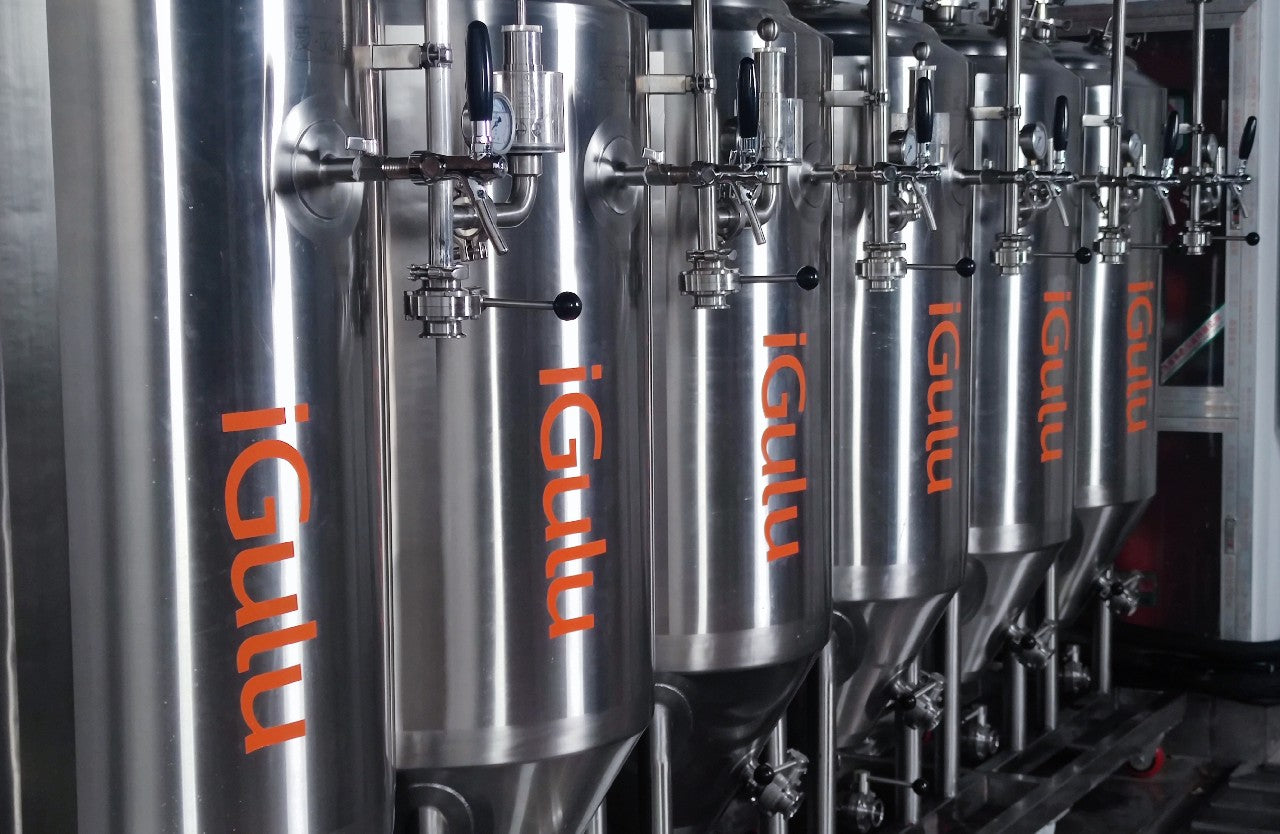 igulu Versatile Heating Apparatus, Efficiently Harness Solid, Liquid, or Gaseous Fuels for Optimal Heat Generation