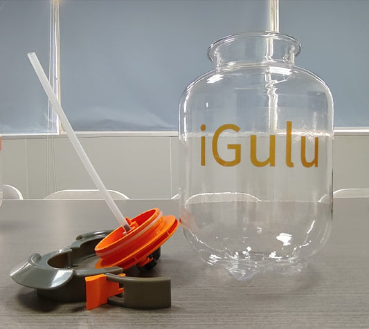 igulu Round Glass Milk Bottle with Plastic Airtight Lids for Milk