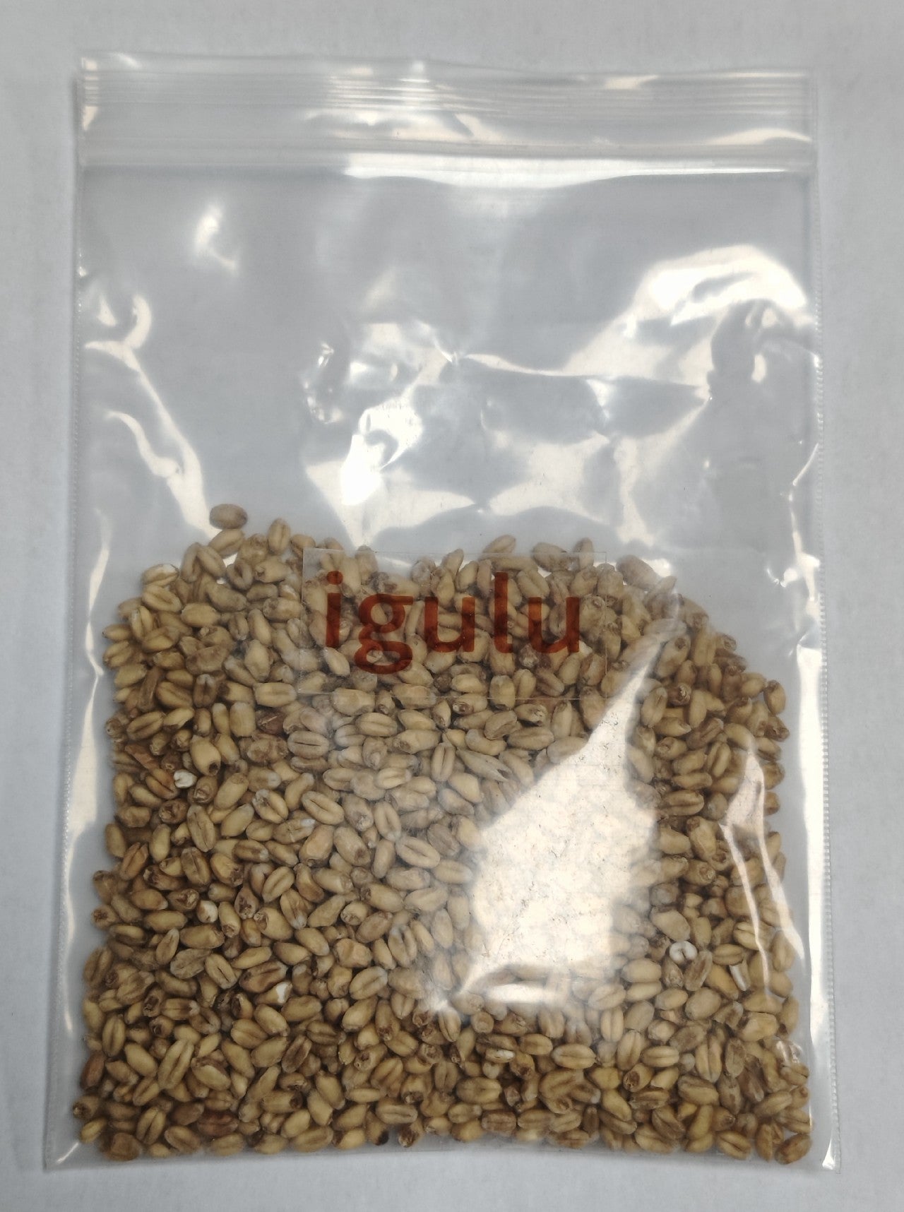 igulu Unprocessed Barley | Bulk Barley | 500g Poly Bag | Non-GMO |