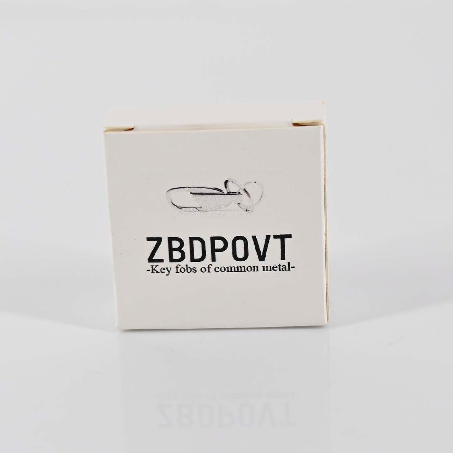 ZBDPOVT Common Metal Key Fobs