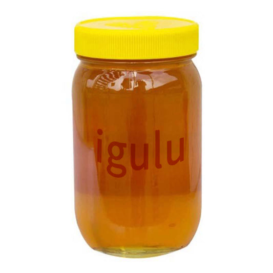 igulu Syrups for Making Whey-based Beverages, Sugar Free Flavoring Syrup, 25.4 Ounce Bottle
